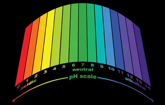 Power of pH The Ultimate Guide to Understanding pH