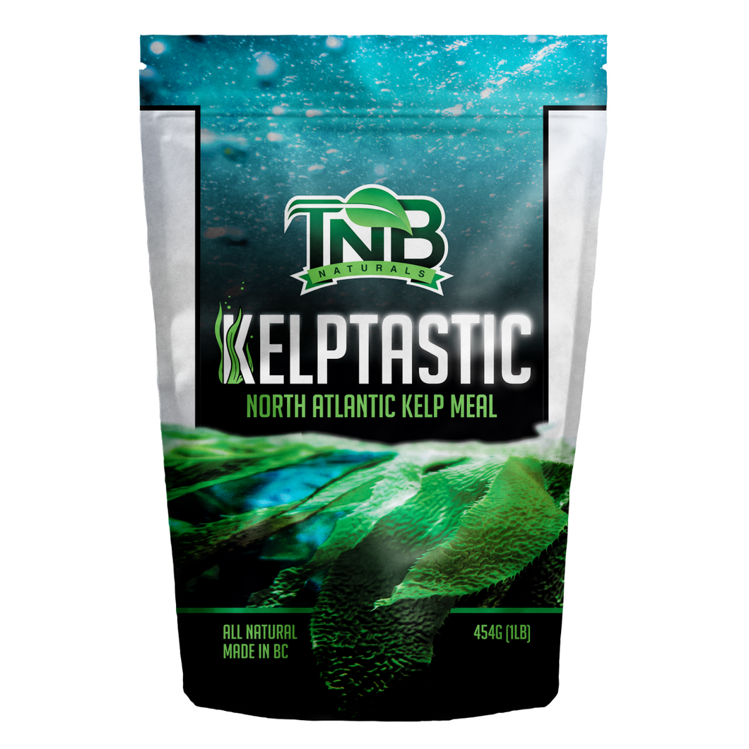 TNB Naturals KELPTASTIC 100% Pure Canadian Kelp Meal 1lb / 454g