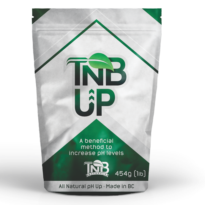 TNB Naturals granular pH UP 1lb / 454g